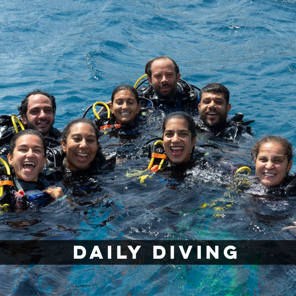 Daily Diving Red Sea Egypt