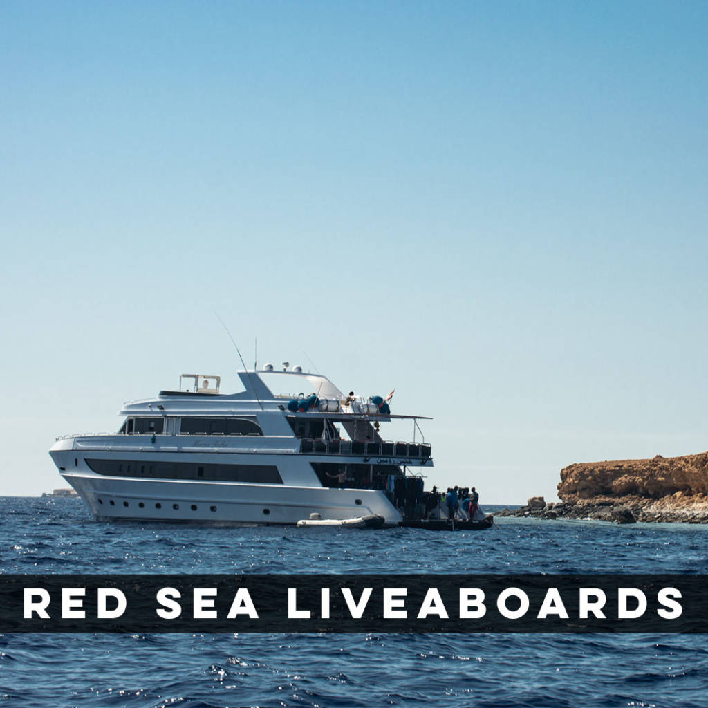 Red Sea Liveaboards